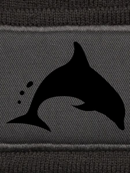 dolfijn dolphin