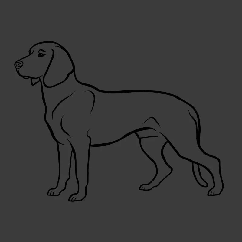 Hannoversche Schweißhund