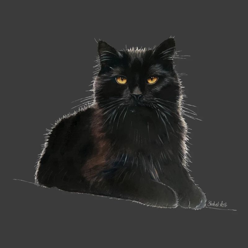 Katze