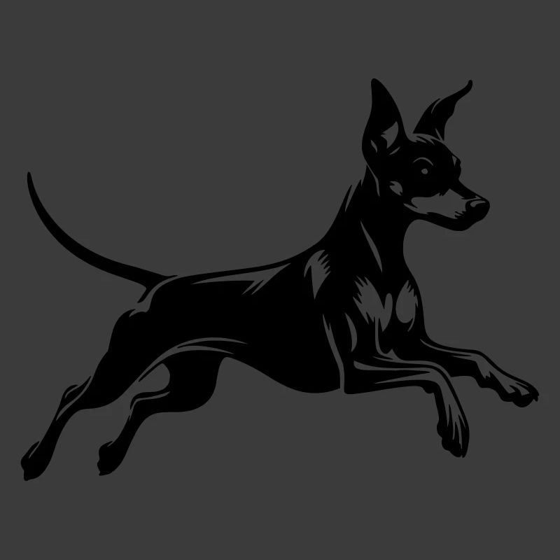 Zwergpinscher
