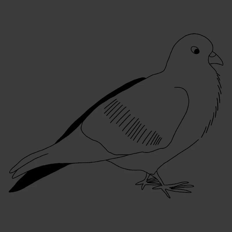 Taube - schwarzweiß Grafik
