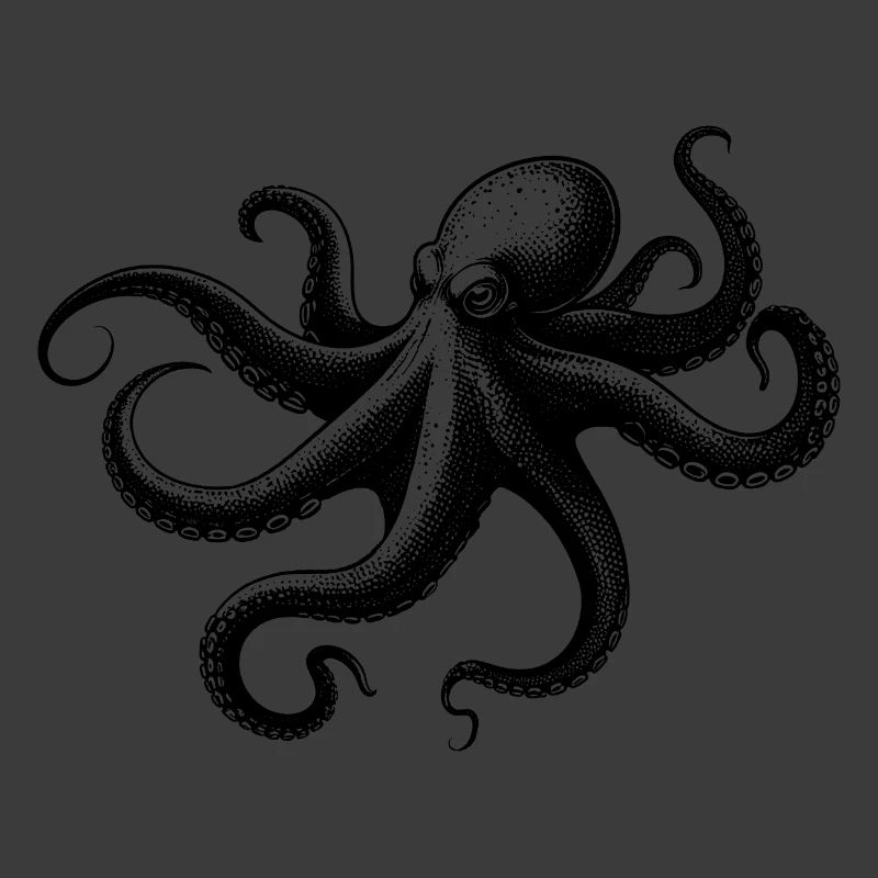 Oktopus in Monochrom