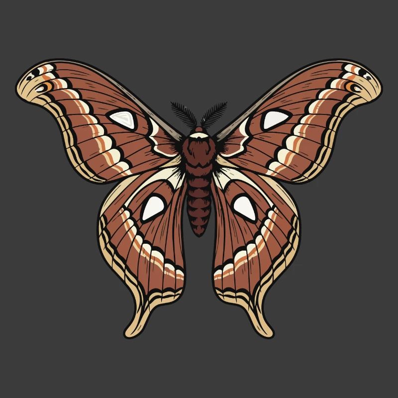 Papillon Polypheme Moth Saturnie Wing Tattoo