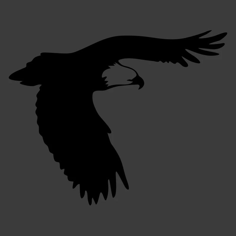 Adler im Flug