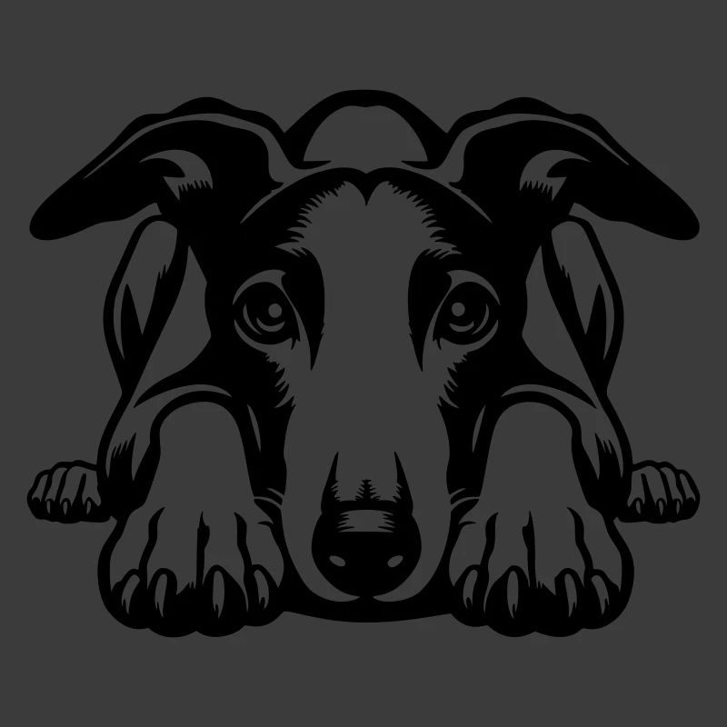 Whippet Kopf mit Pfoten