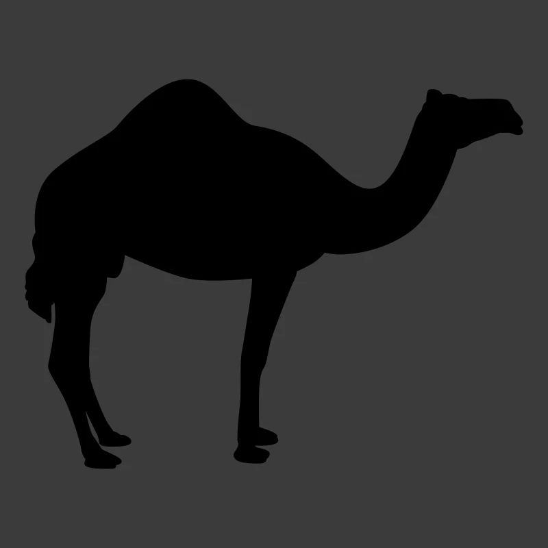 Kamel | Wüste | Dubai | Wüstenschiff