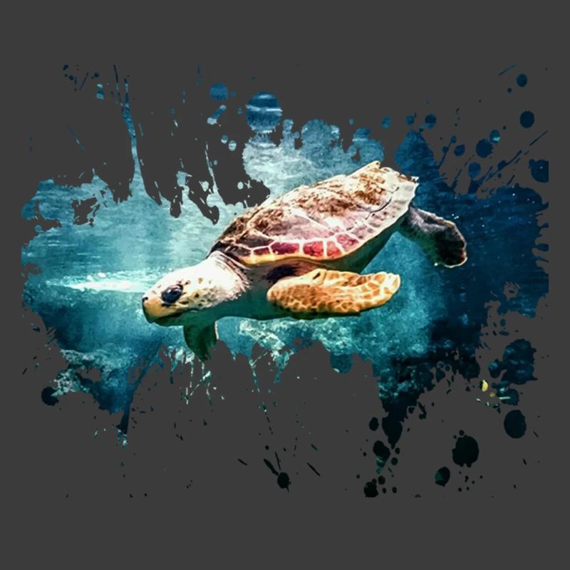Petcontest tortue