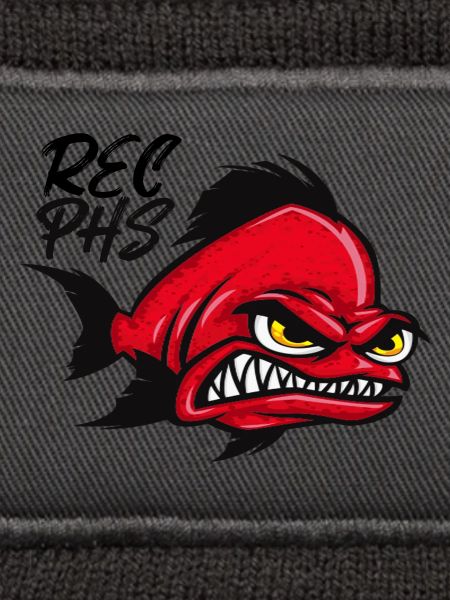 Rostocker Eishockey