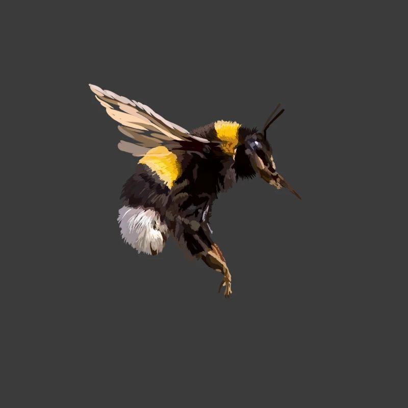 Hummel