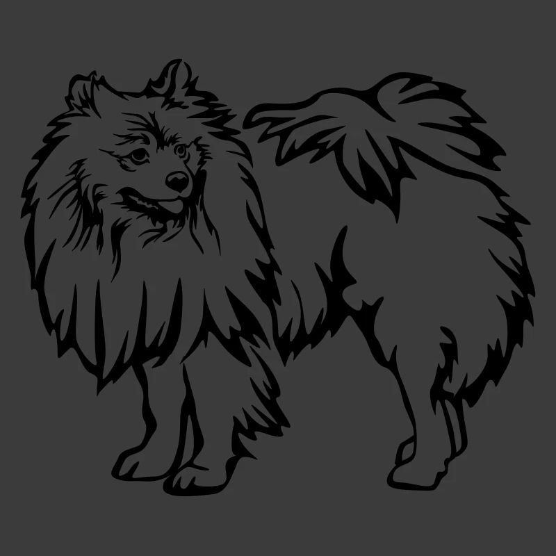 Spitz