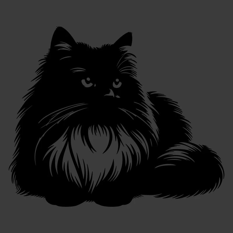 Ragdoll Cat