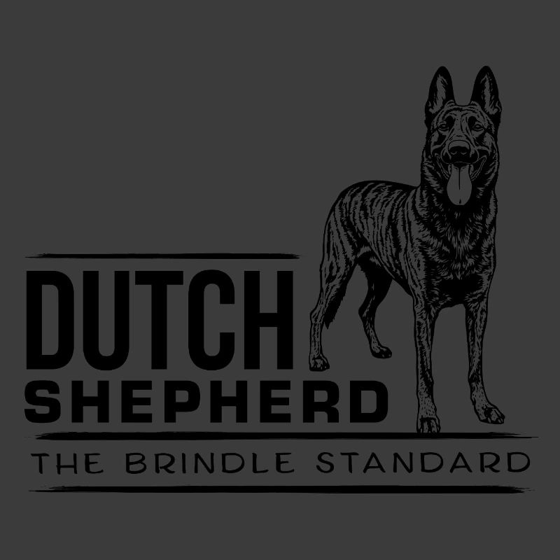 Dutch Shepherd - Dutchie 