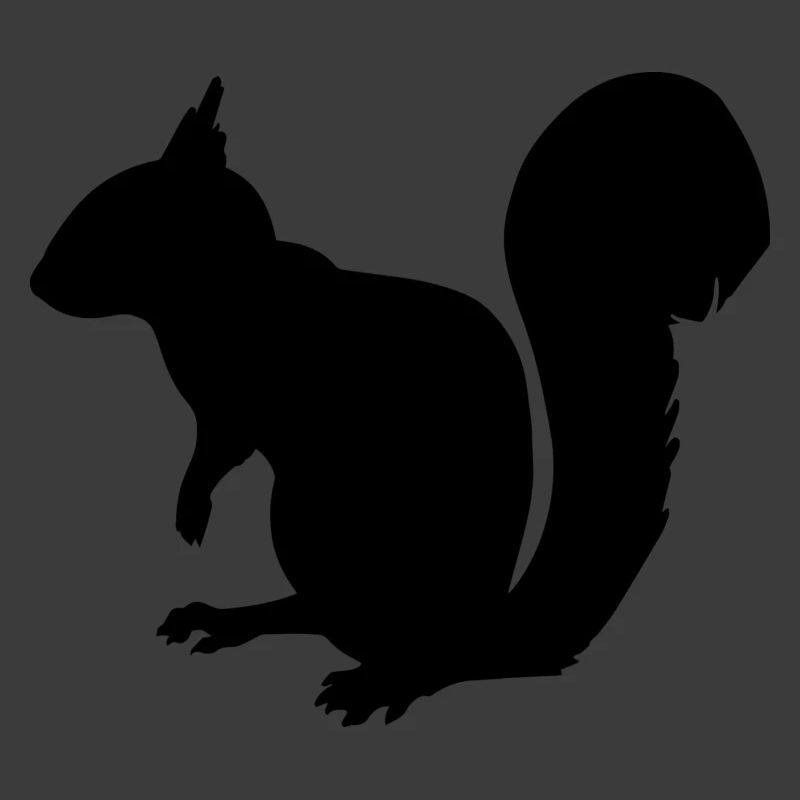 Eichhörnchen