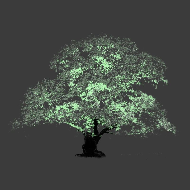 Oaktree