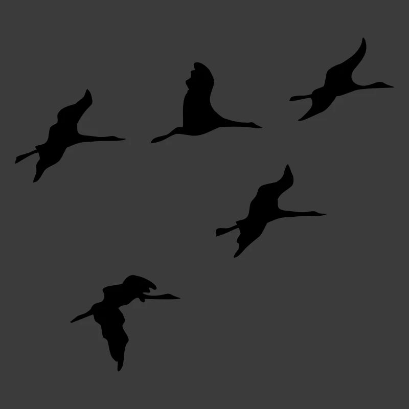 kraniche vogel reise