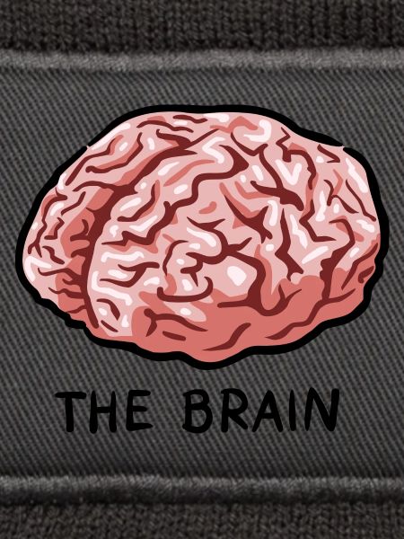 THE BRAIN