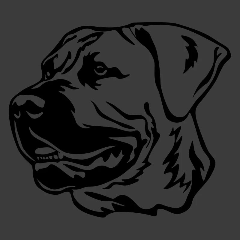 Boerboel Kopf