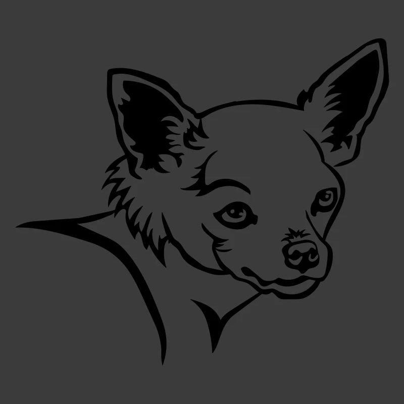 Chihuahua Kopf