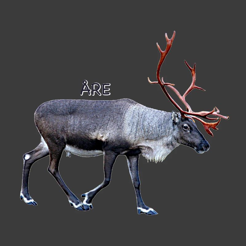 SIND