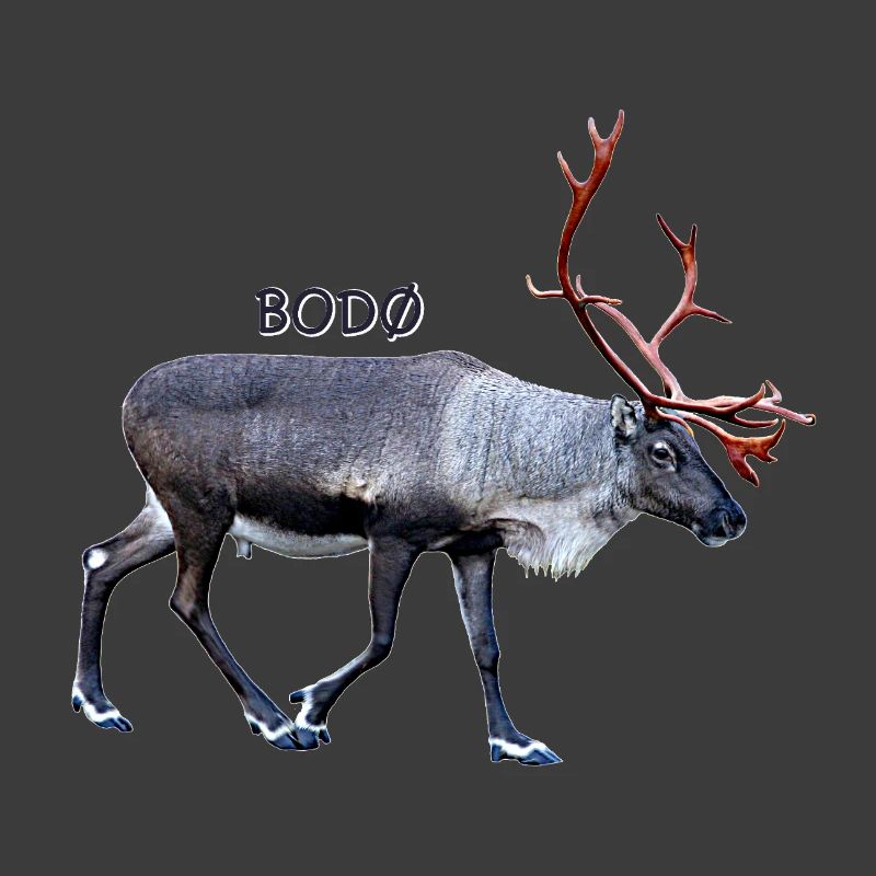 BODO