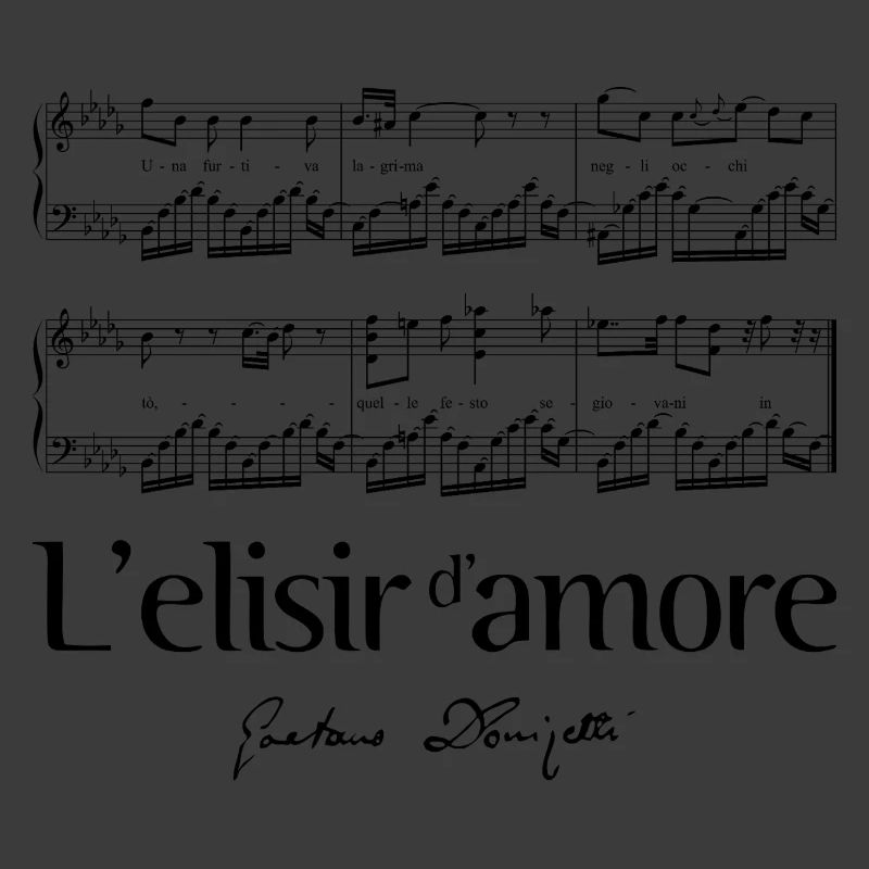L'elisir d'amore 2