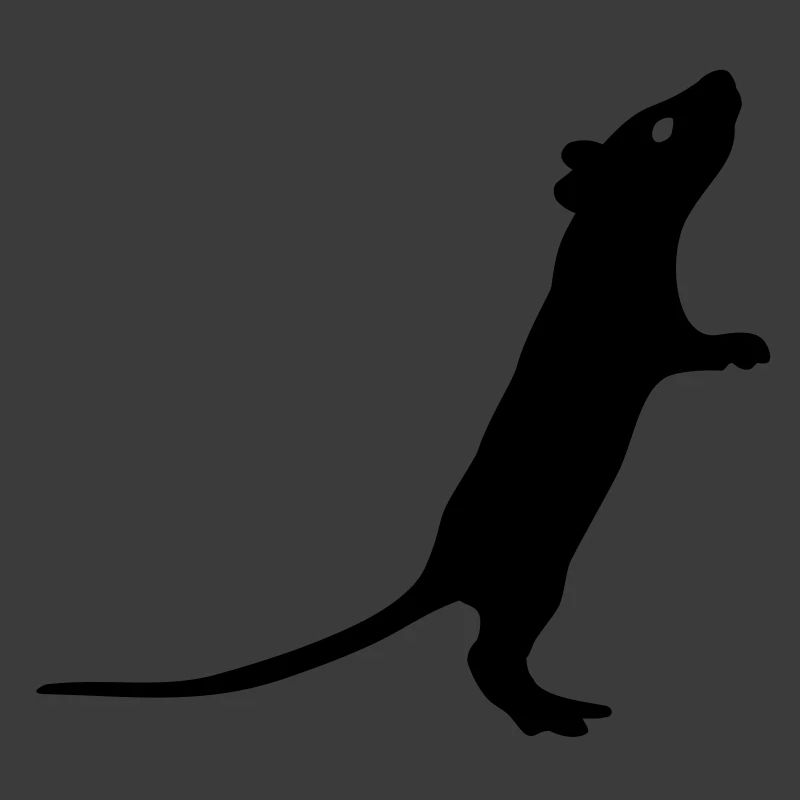 Ratte