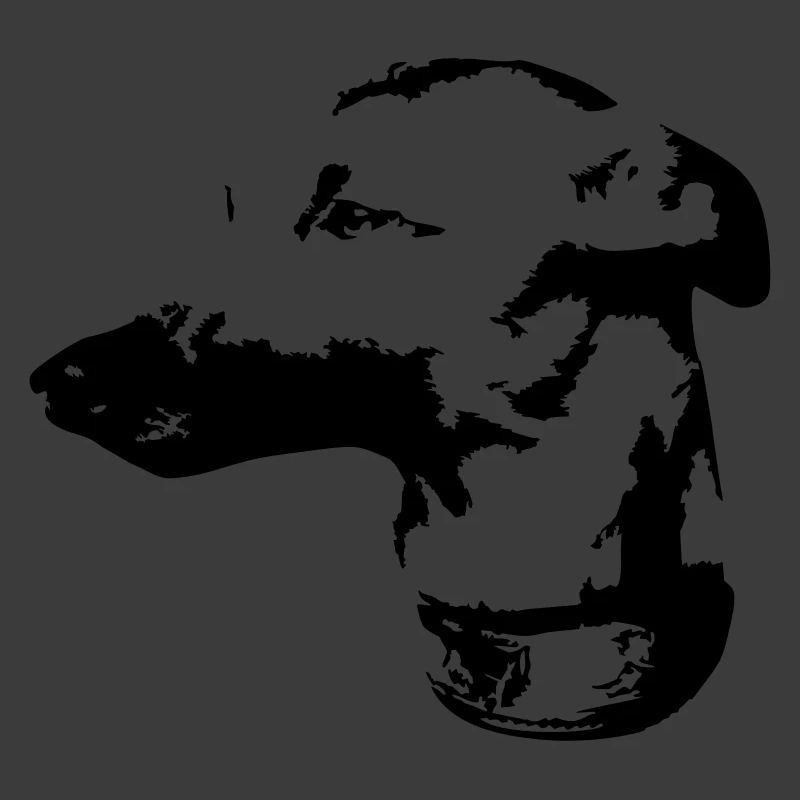 Whippet head