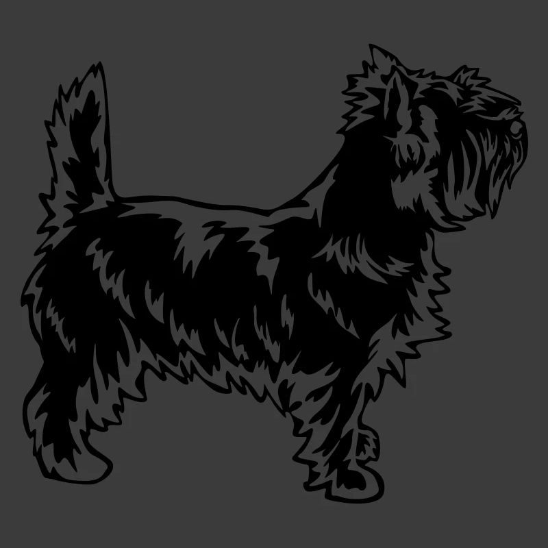 Cairn Terrier
