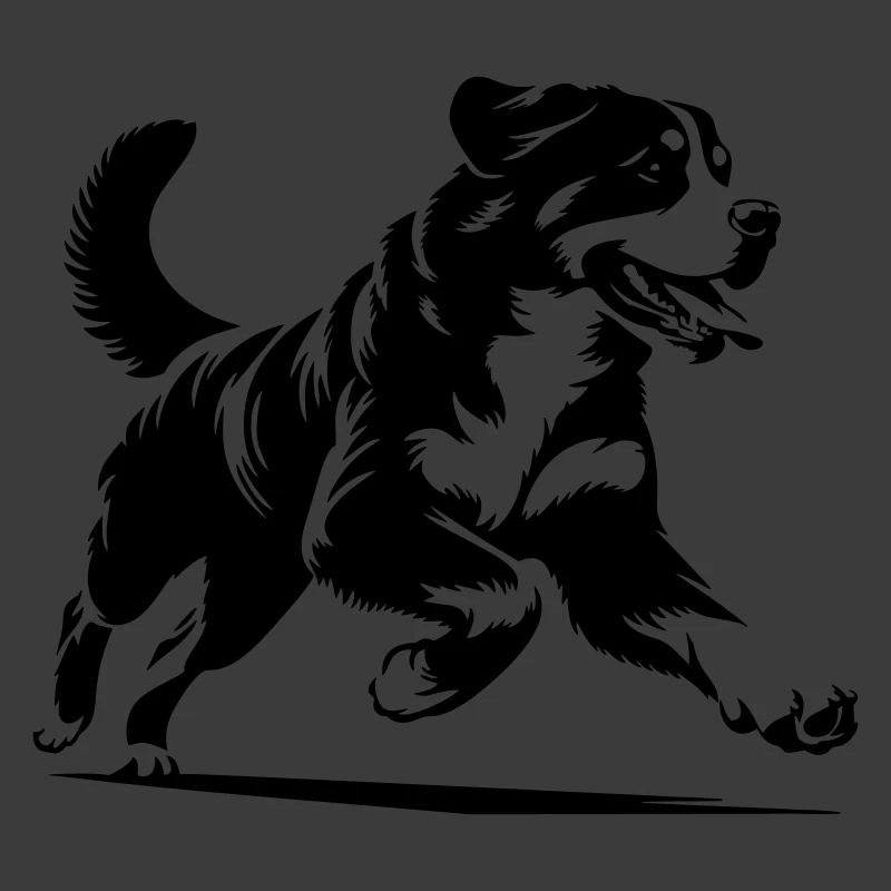 Berner Sennenhund