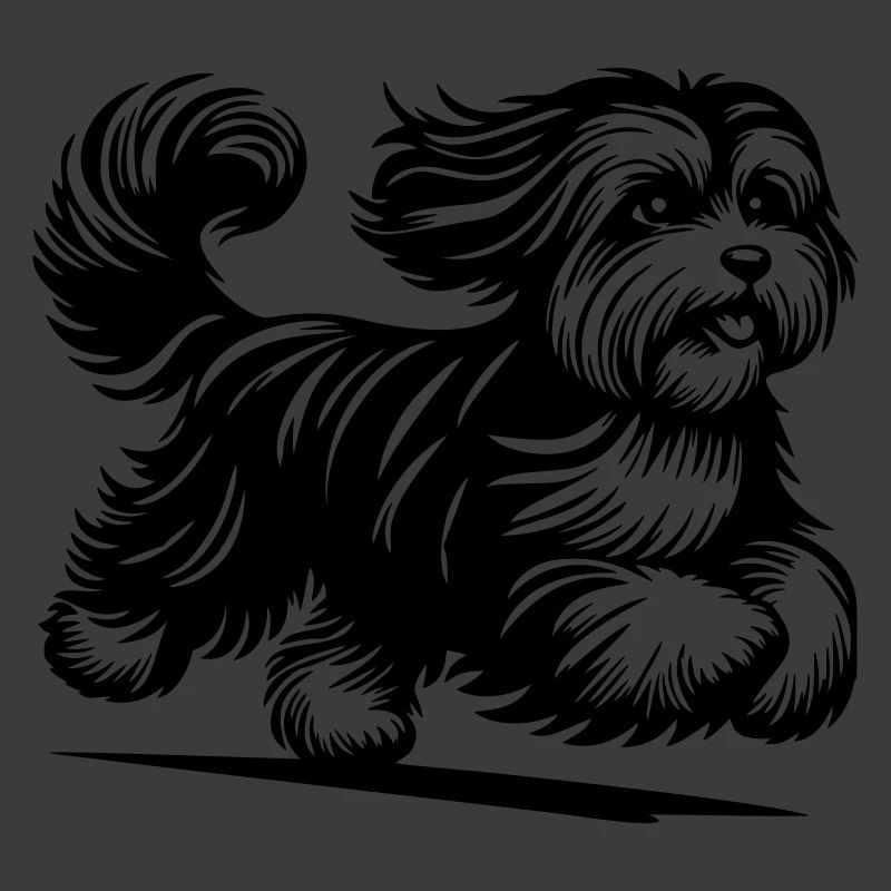 Havanese
