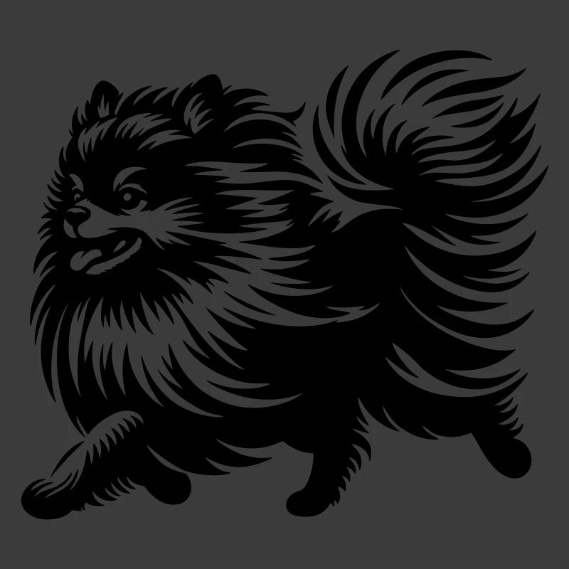 Dwarf spitz