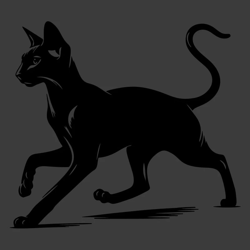 Orientalisch Kurzhaar Katze