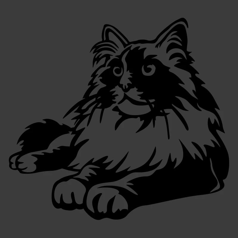 Ragdoll Katze