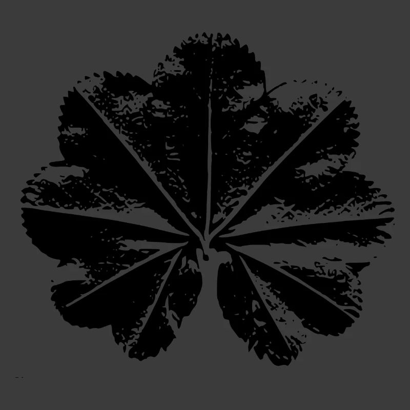 lady's mantle leaf