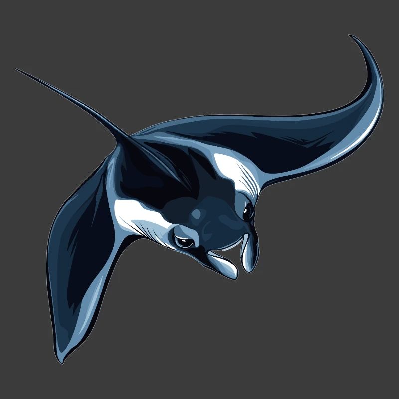 Rochen Mantarochen