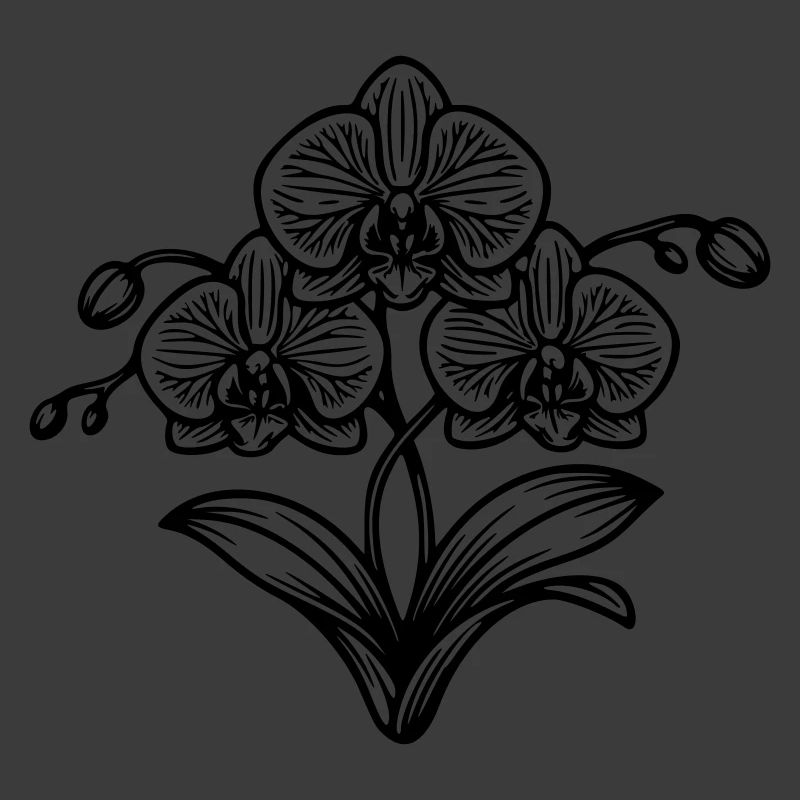 Orchidée