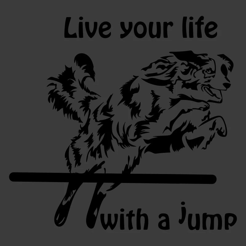 Agility Australian Shepherd Aussie