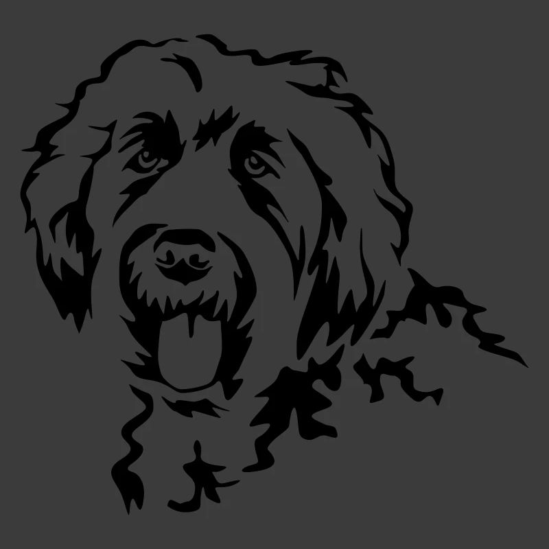 Labradoodle Kopf