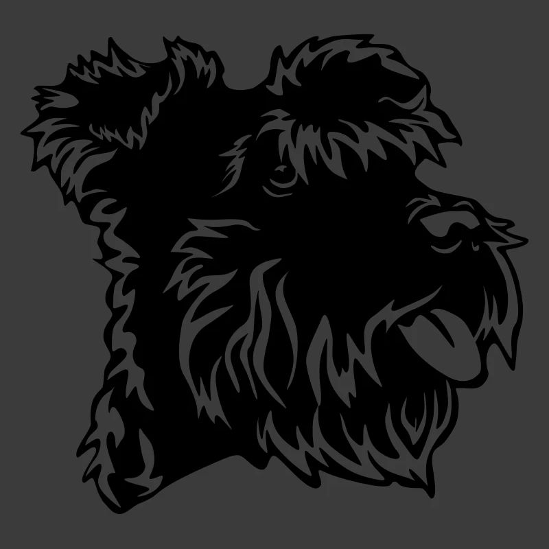Miniature Schnauzer head
