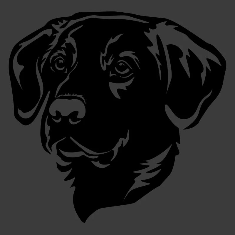 Labrador Head