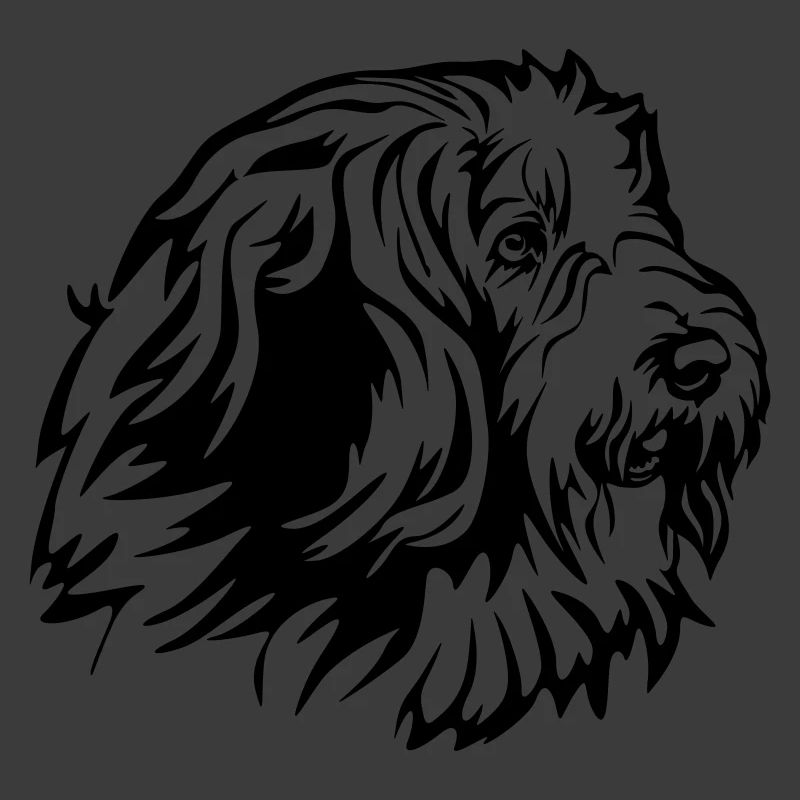 Bearded Collie Kopf