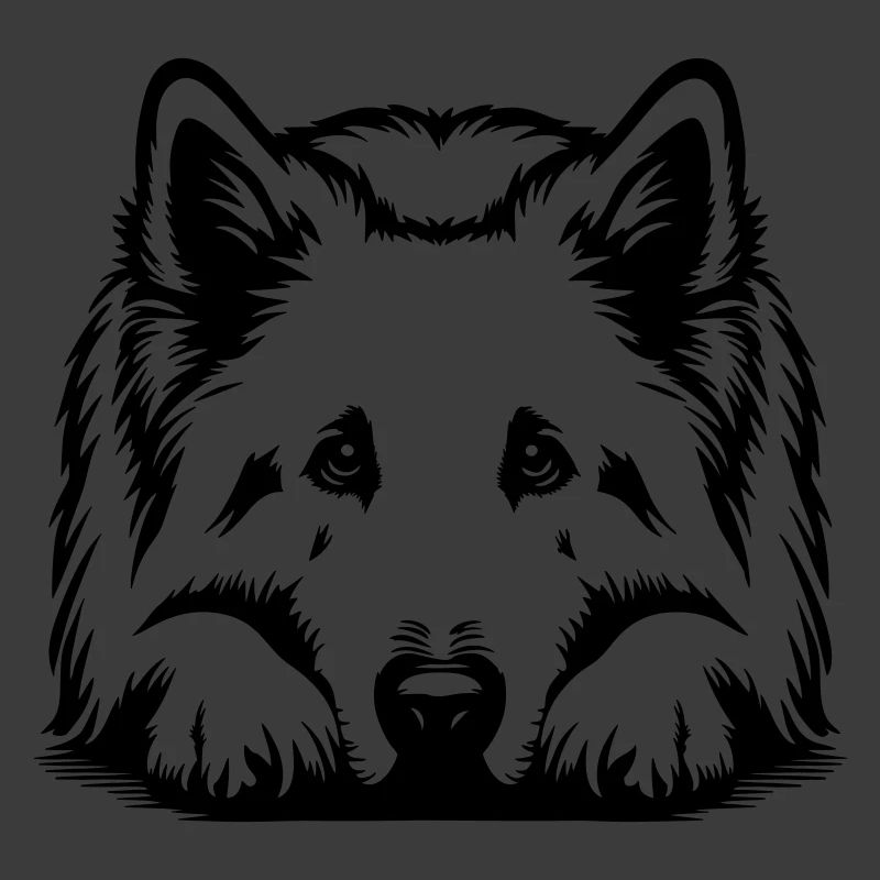 Schweizer Schäferhund