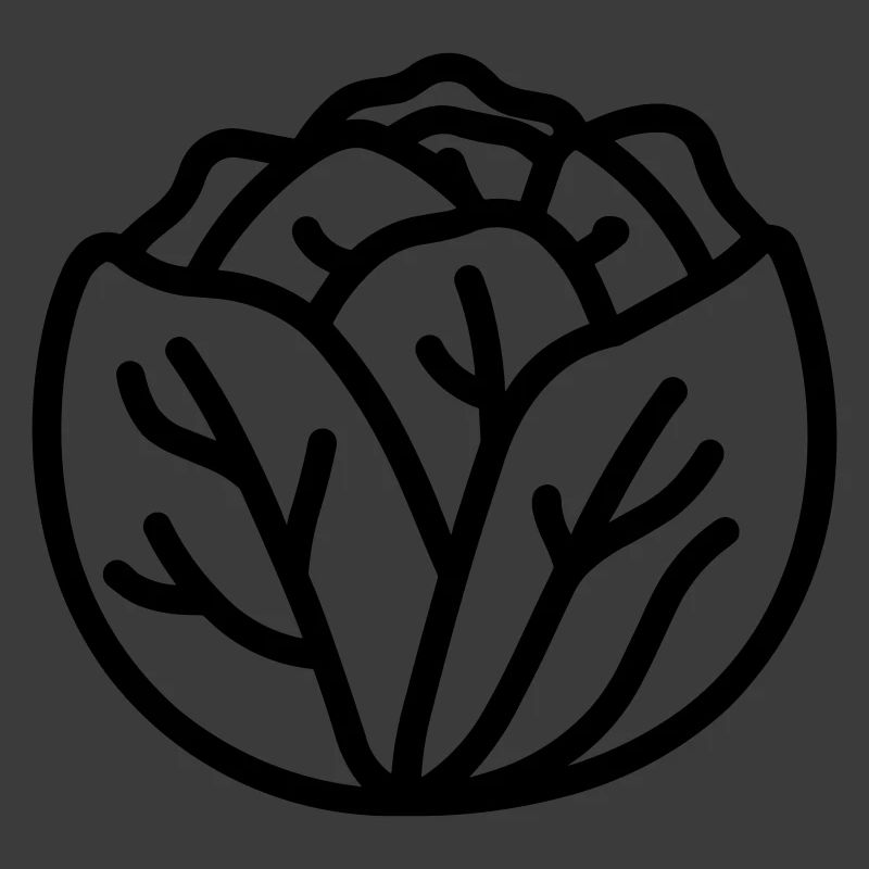 cabbage