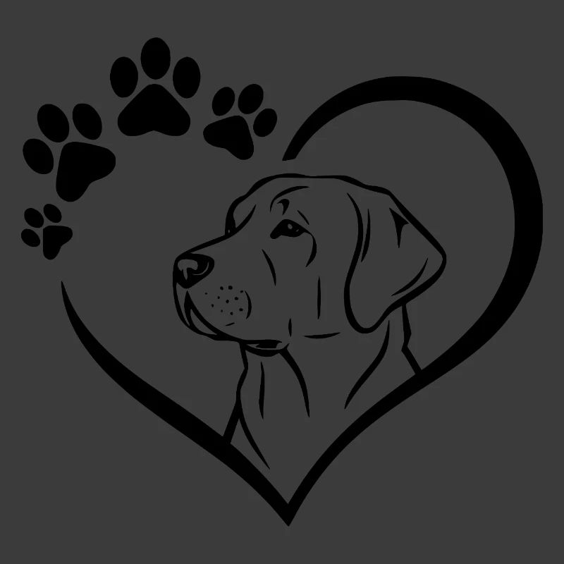 Labrador Retriever Zeichnung