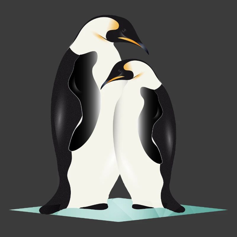 Two elegantly drawn penguins