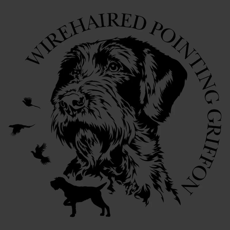 Wirehaired Pointing Griffon Jagdhunde Wilsigns 