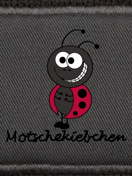 Motschekiebchen/Marienkäfer