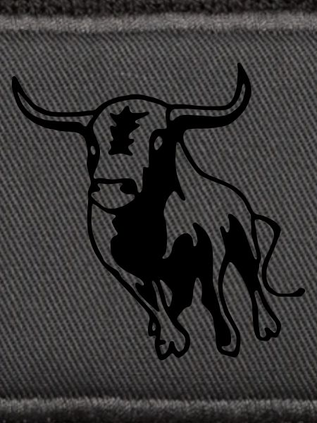 Stier,Torero,Bulle,Matador,