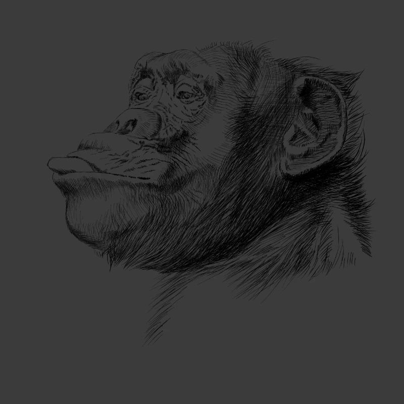 Affe