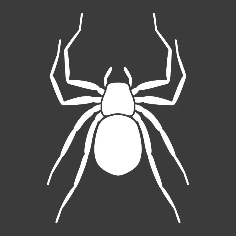 Spinne